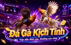 Sảnh Đá Gà bacom4lockhart